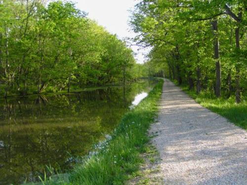 Section of the old canal