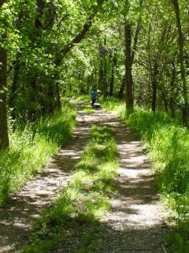 Some of the muddier sections