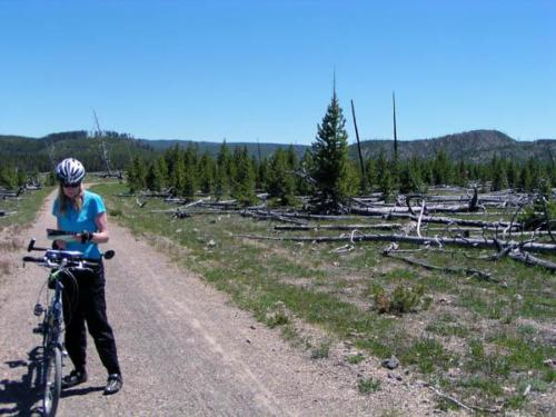 TransAmerica path through Yellowstone